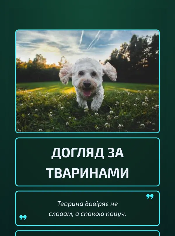 Тварини · неон