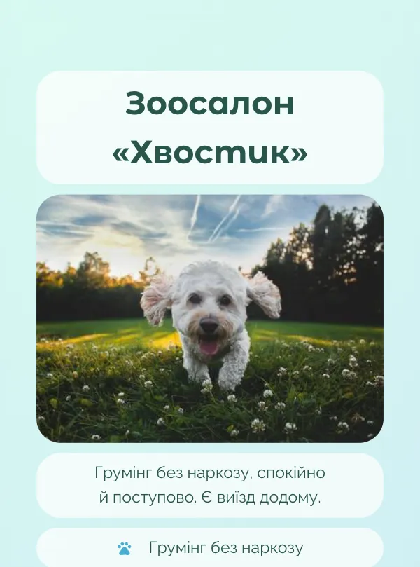 Тварини · пастель
