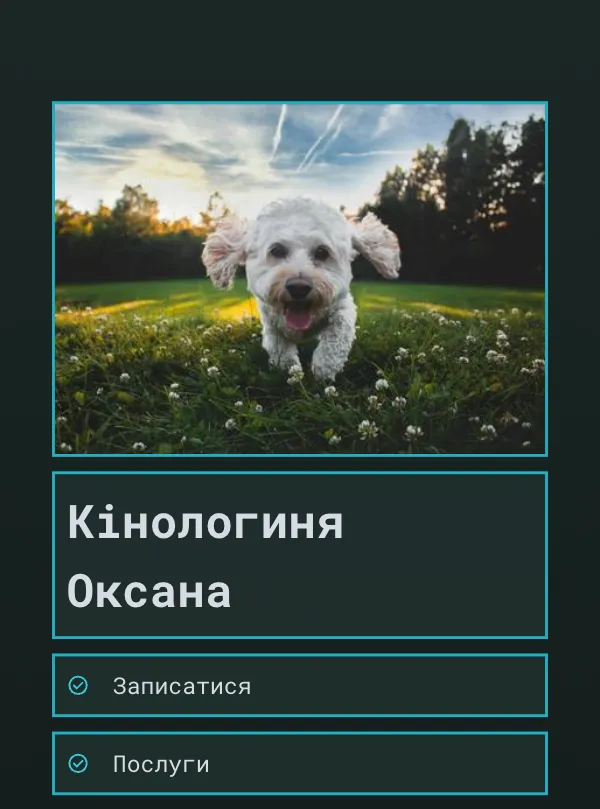 Тварини · техно