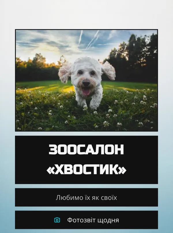 Тварини · контраст
