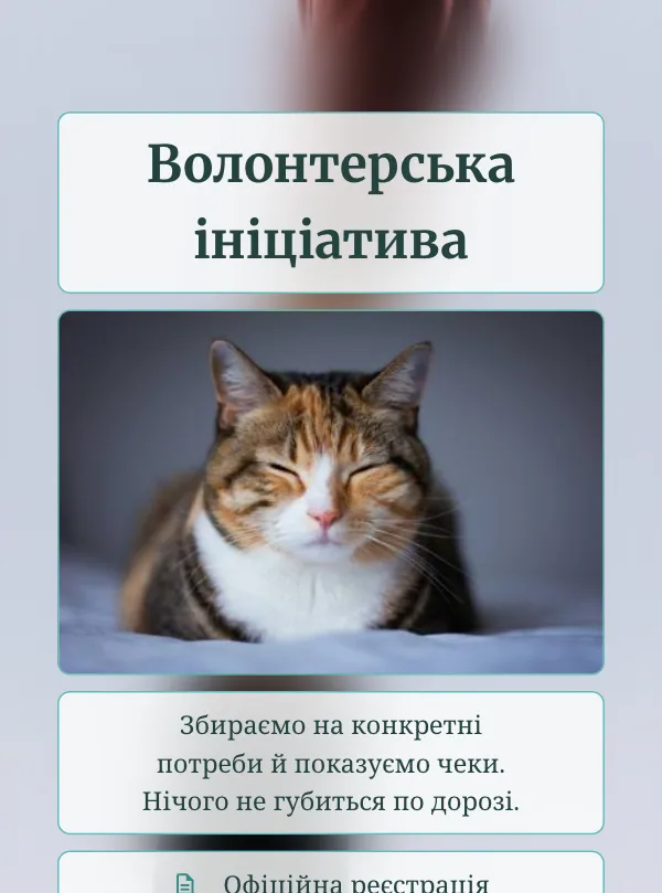 Благодійність · класика